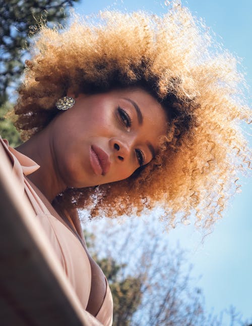 Fotobanka s bezplatnými fotkami na tému afroúčes, blond vlasy, model