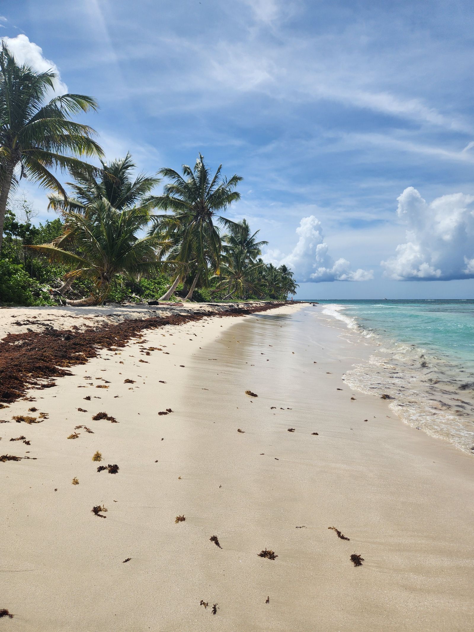 Leaning palms along an empty stretch of Flamenco Beach on Culebra, with turquoise water lapping the sand