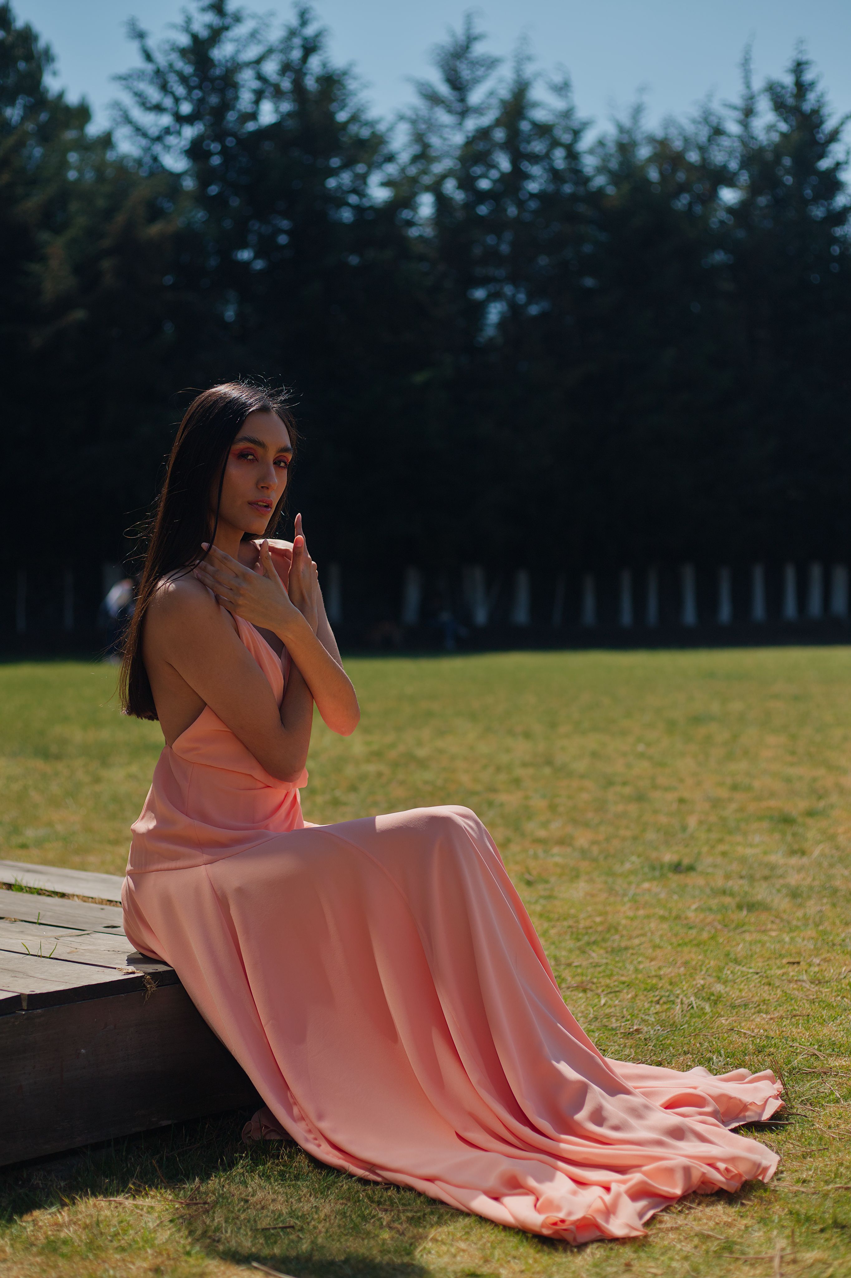 brunette in pink dress Beautiful Brunette Woman Wearing In Pink Dress Isolated On White Stock  Photo - Download Image Now