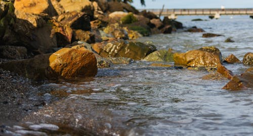 aşınmış, deniz, deniz kıyısı içeren Ücretsiz stok fotoğraf