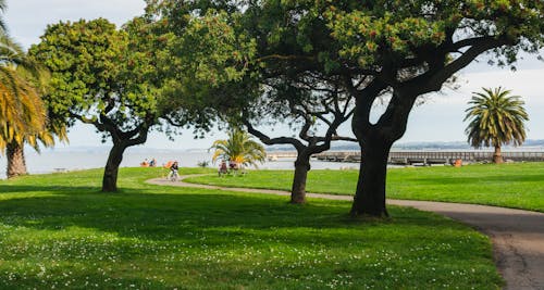 Scenic Park with a Lake in the Distance 