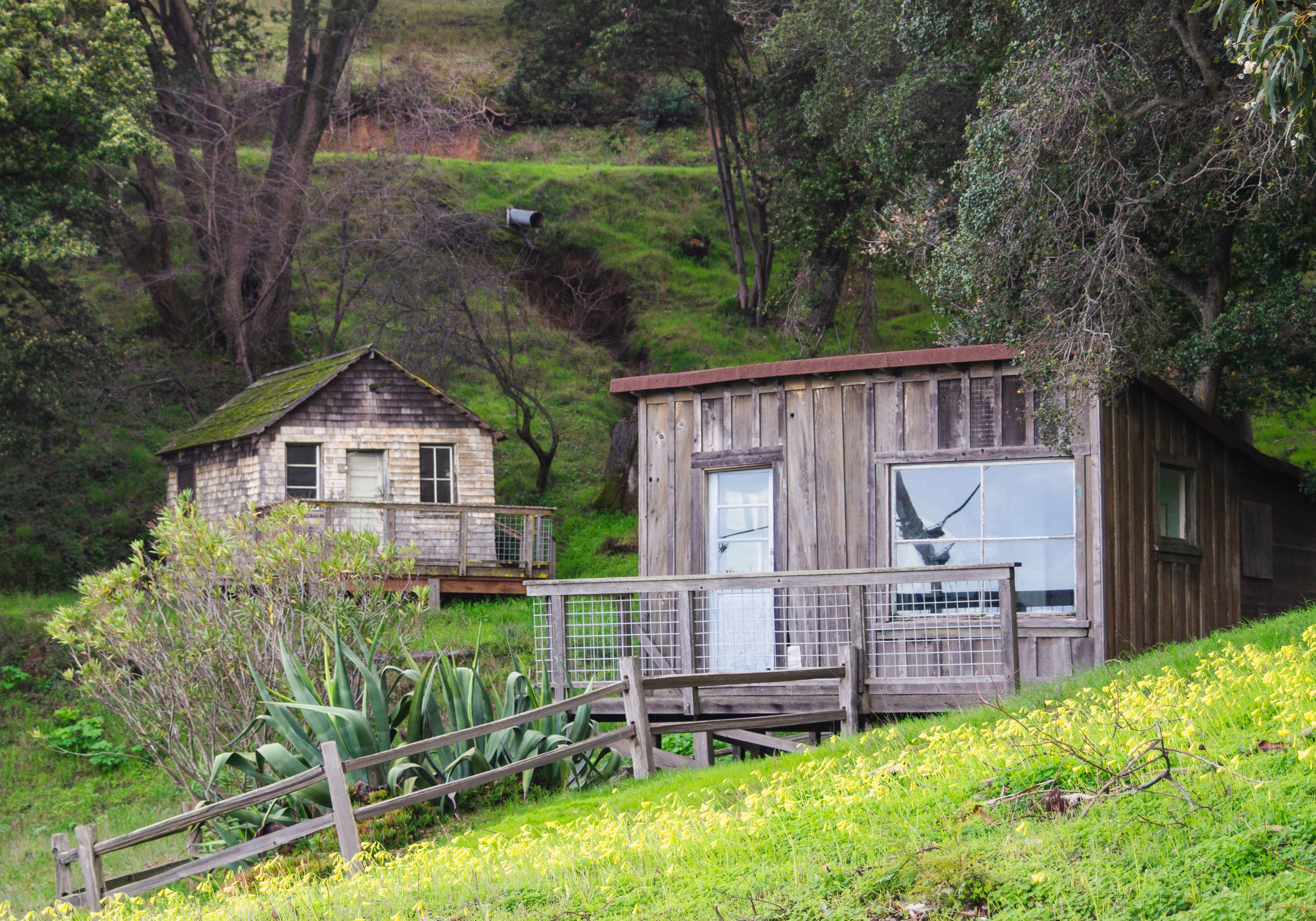 Restored wooden cabin in natural setting