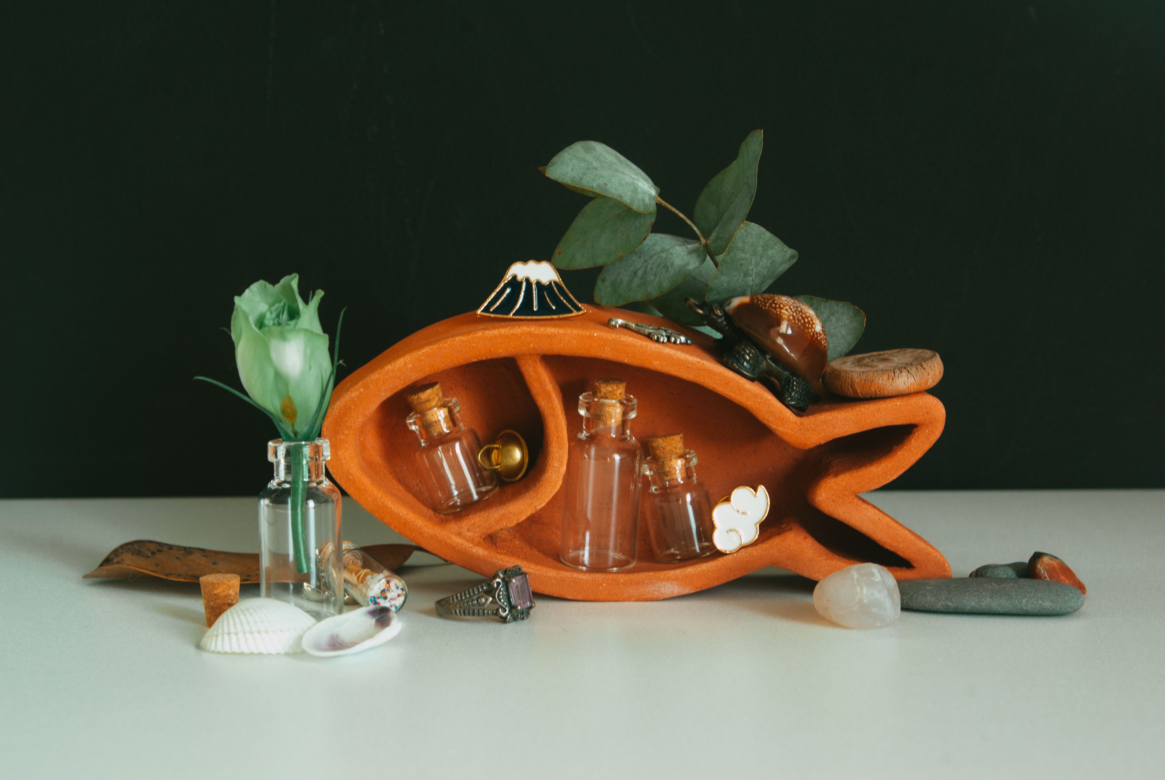 Object Display Photos, Download The BEST Free Object Display Stock ...