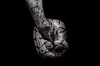 Person With Tattoo Holds Python