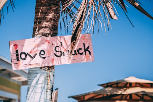 Pink Love Snack Signage on Coconut Tree