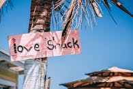 阳光明媚的热带氛围中，巴哈马棕榈树上挂着粉色木制标牌