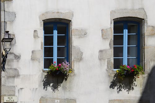 Flowers on House Windows
