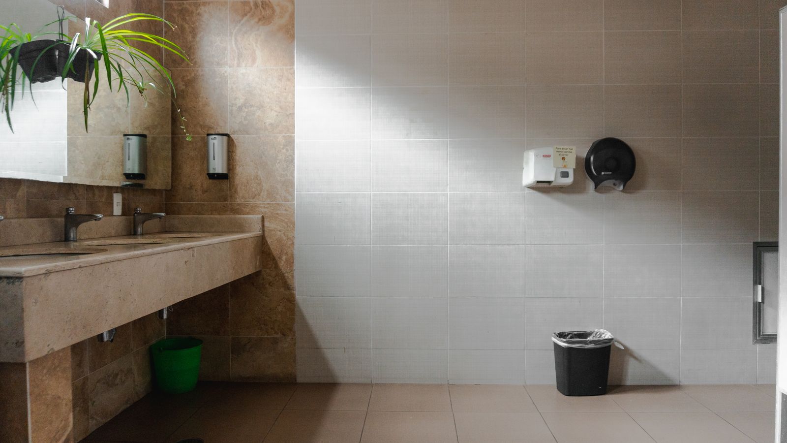 Washroom Hygiene
