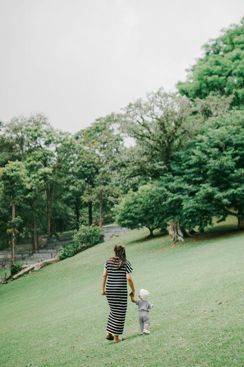 Immagine gratuita di albero, bambino, camminando