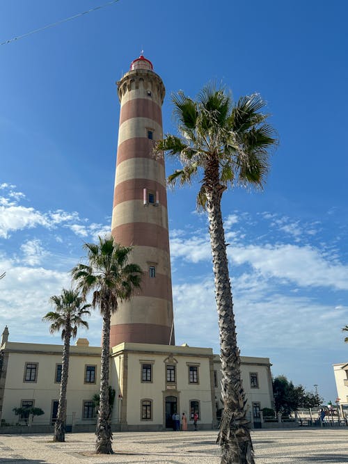 Foto d'estoc gratuïta de exterior d'un edifici, far d aveiro, fita