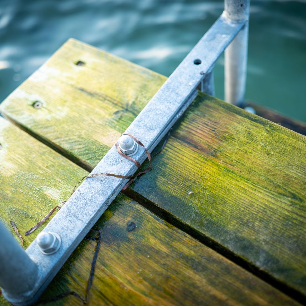 Fence and Decking Painting in Southwark — surfaces prepped and cut in by hand