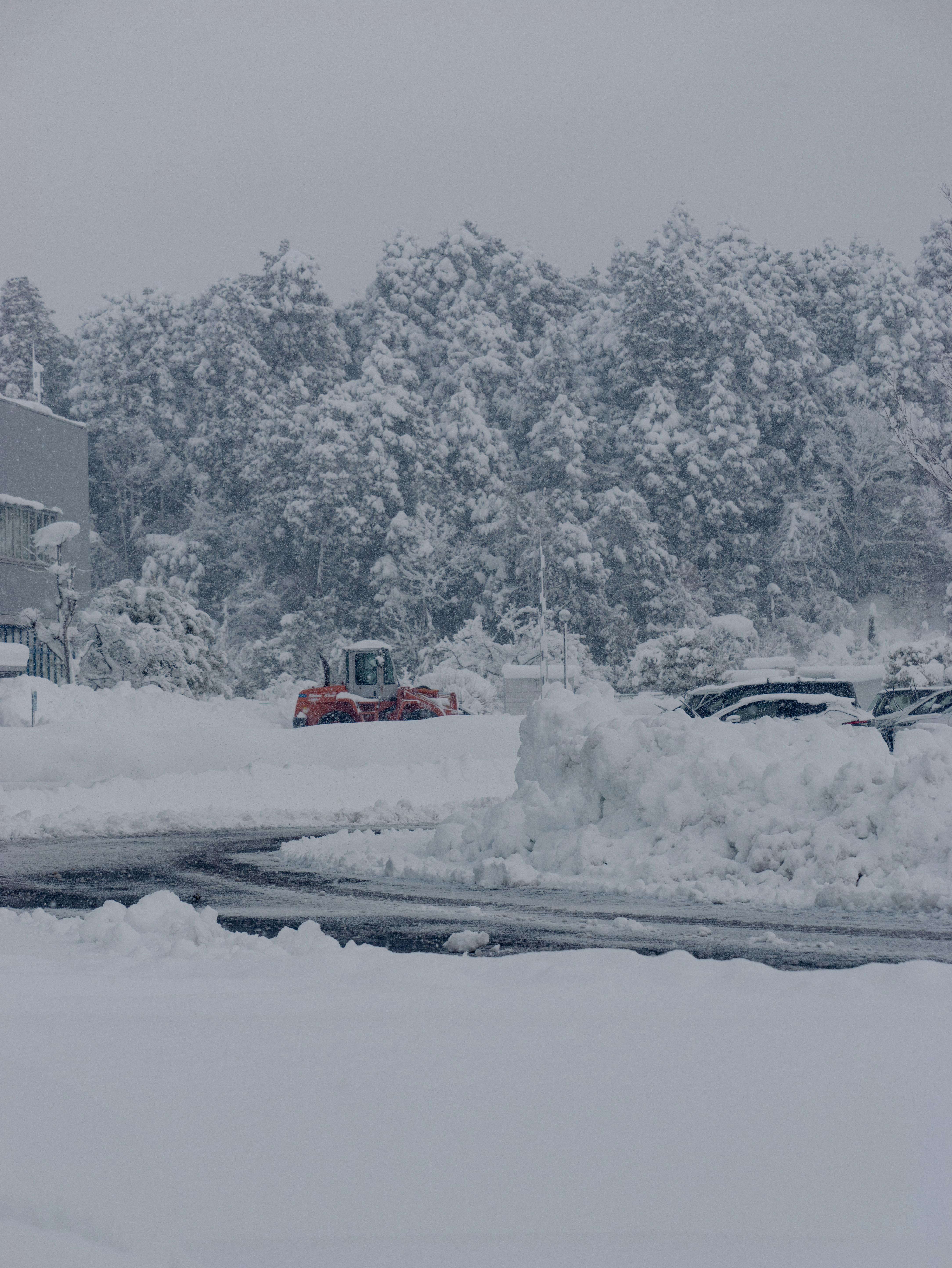 Winter scene of snow-covered road and trees in Ayabe, Kyoto, Japan. Heavy snow blankets the landscape.