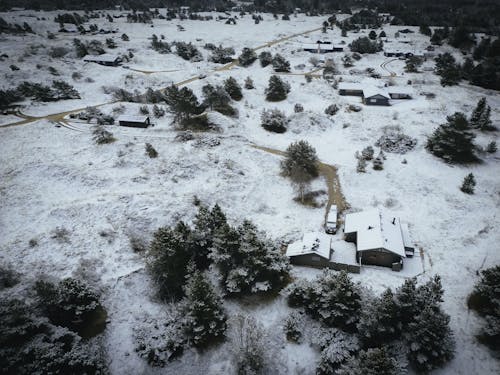 Foto d'estoc gratuïta de arbres, blanc, cases