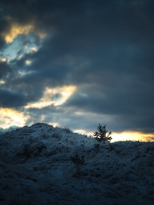 Бесплатное стоковое фото с вертикальный выстрел, зима, небо
