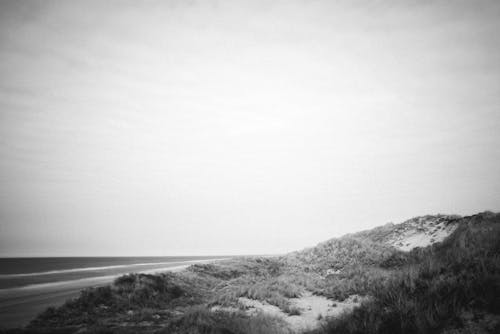 Foto stok gratis hitam & putih, lansekap, laut
