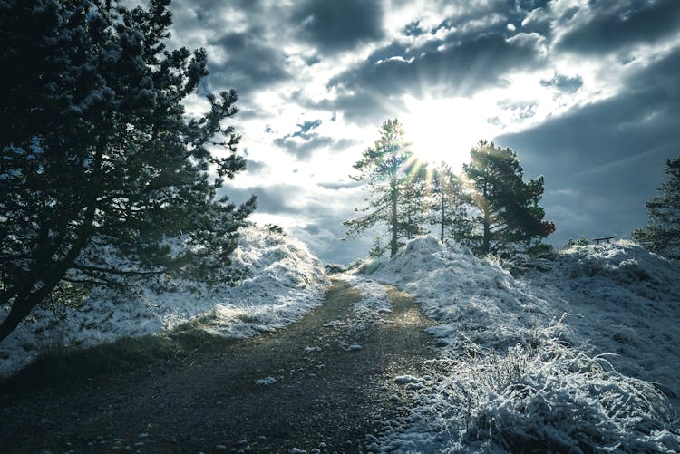 Sunset Sunlight Over Dirt Road On Hill In Winter