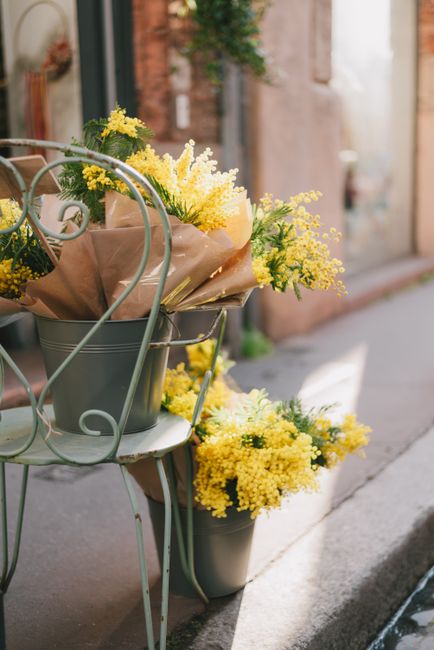 Yellow flowers in buckets on a chair in Toulouse street, bright and fresh display.