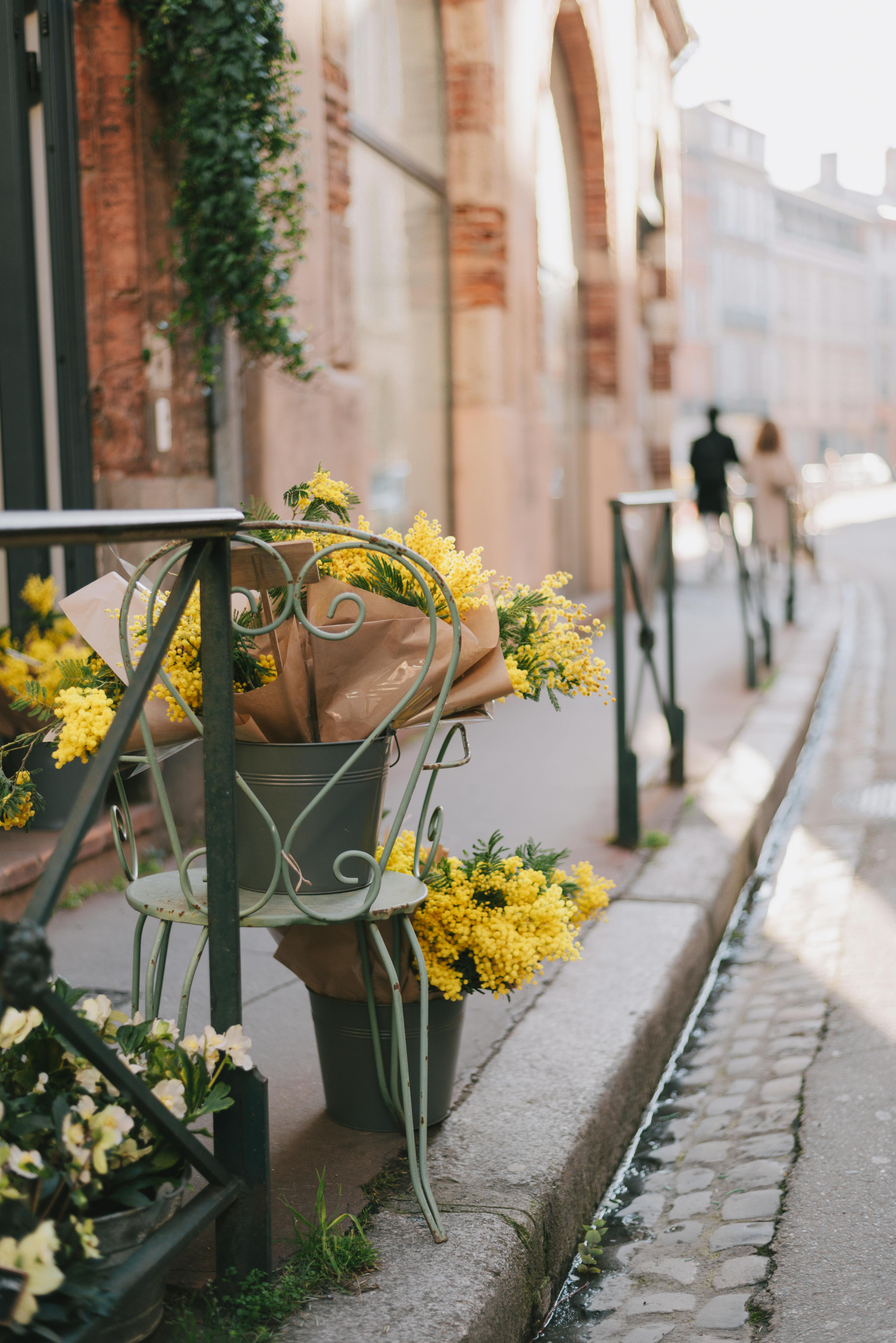 Elegant street view in Toulouse, France with flowering plants and classic architecture.