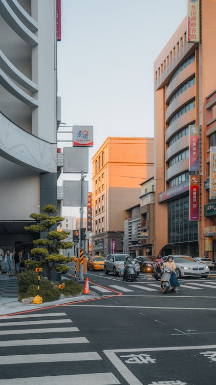 Cars and Motor Scooters on Street