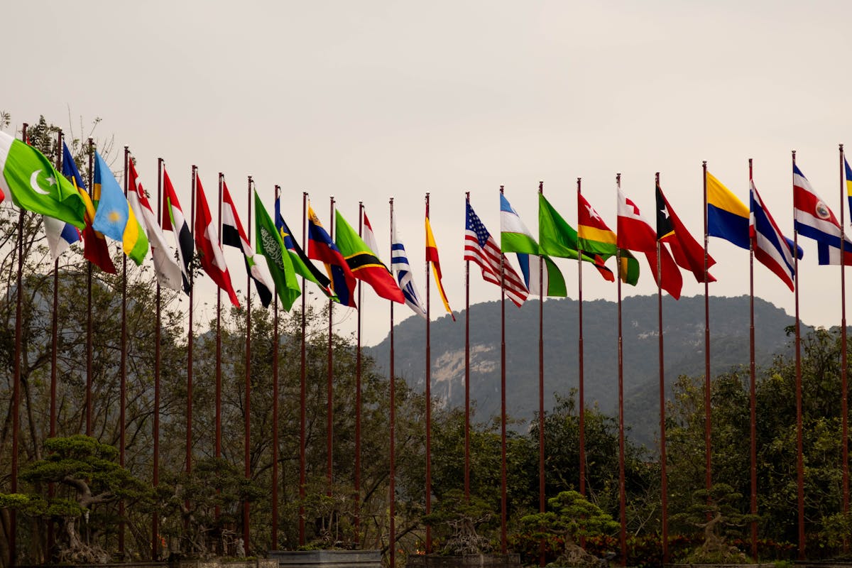 Colorful Array of International Flags · Free Stock Photo