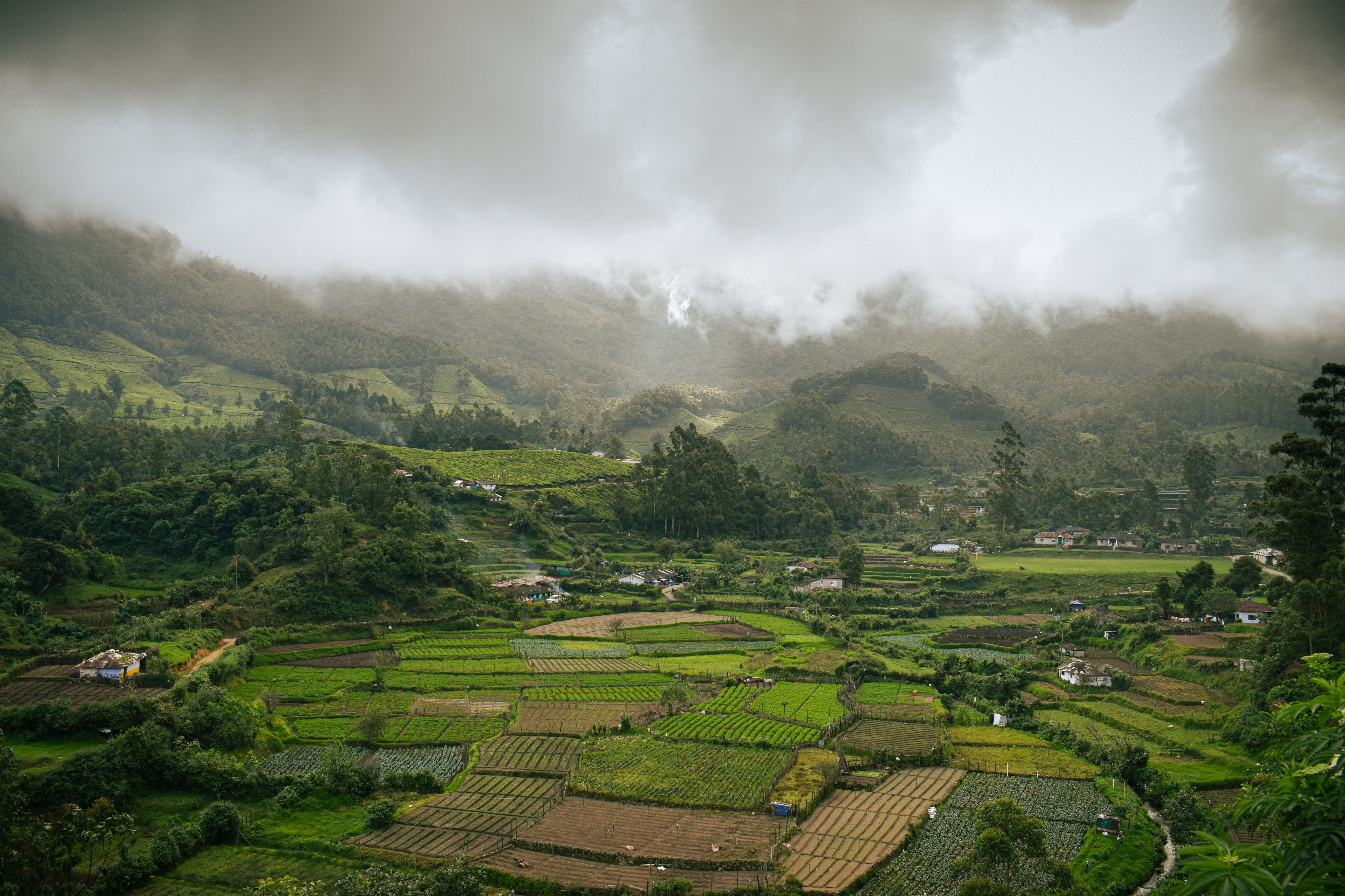 Aerial View of Croplands in a Mountain Valley · Free Stock Photo