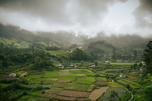 Aerial View of Croplands in a Mountain Valley 