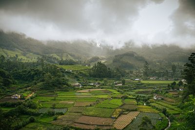 Vattavada Safari Munnar