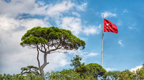 Foto stok gratis angin, bendera turki, daun-daun hijau