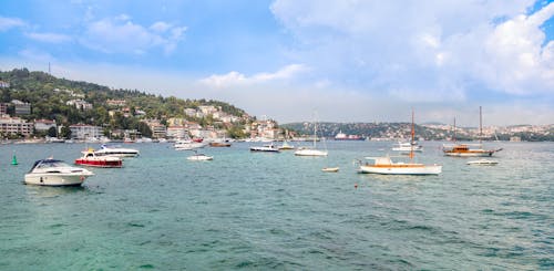 Foto d'estoc gratuïta de ancorat, badia, barques