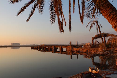Foto stok gratis Mesir, siwa oasis