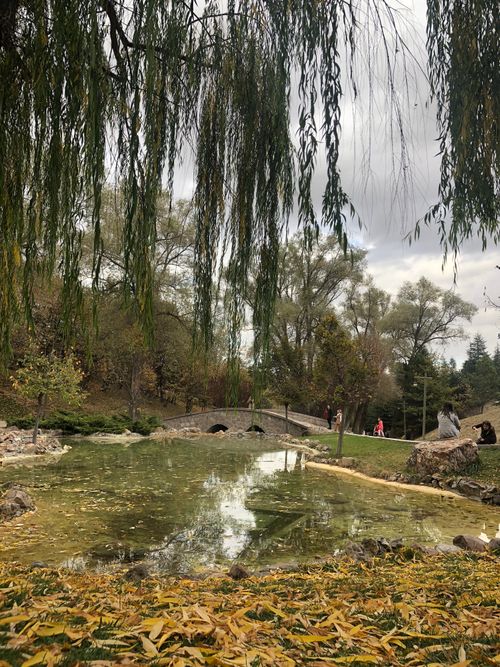 Free Peaceful autumn landscape with stone bridge, pond, and trees. Stock Photo