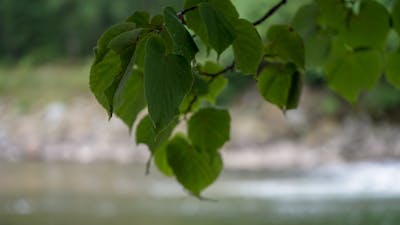 教师节祝语英文 教师节祝语英文翻译