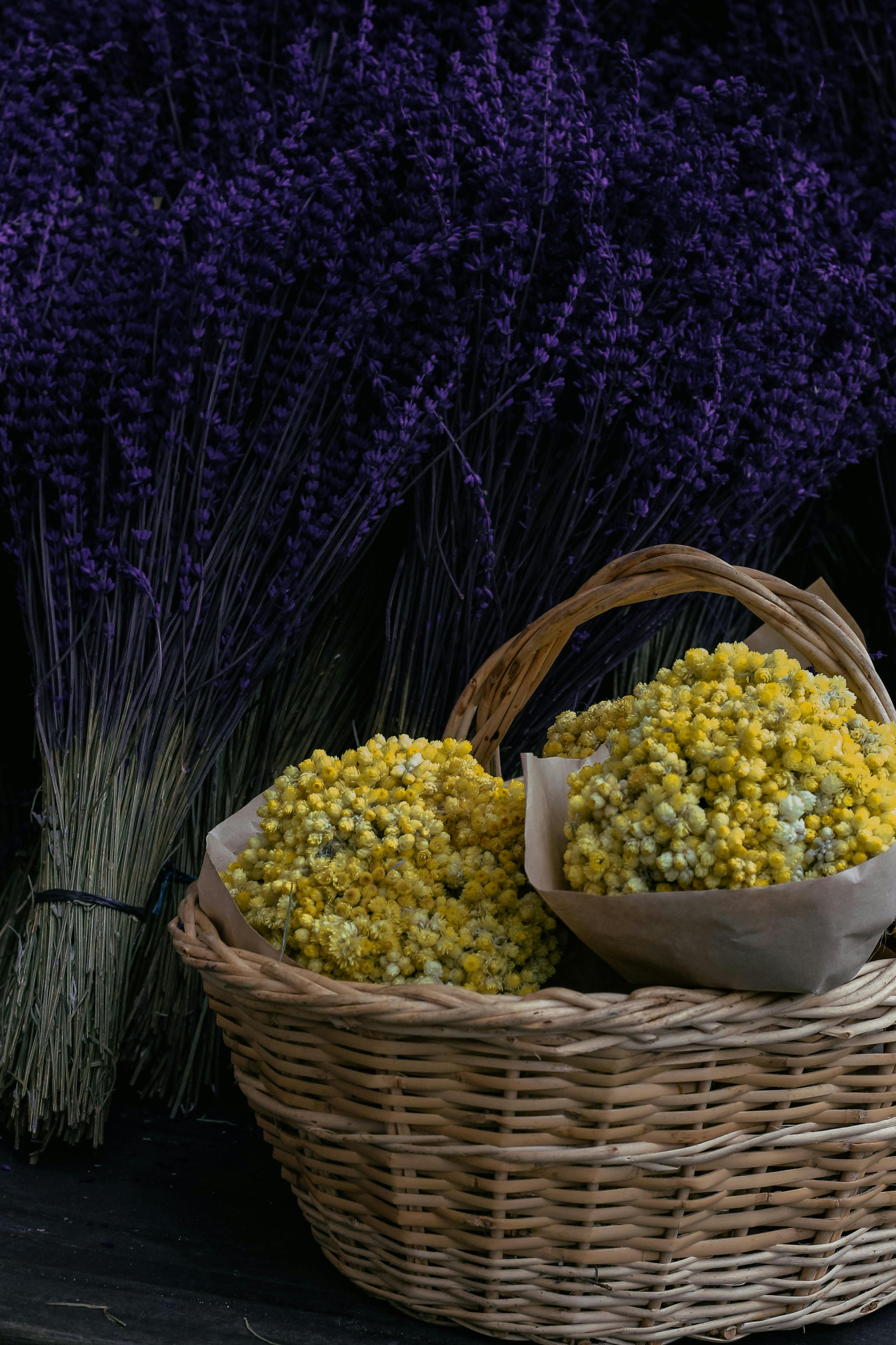 Bunches of yellow flowers in a wicker basket against a backdrop of lavender. Perfect for rustic decor.