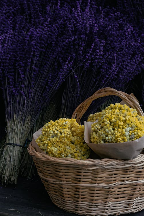 Common Wormwood in Wicker Basket