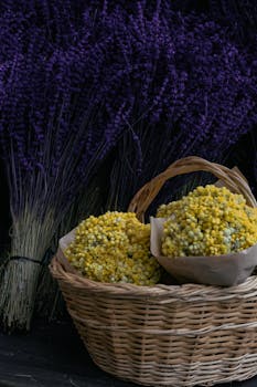 Bunches of yellow flowers in a wicker basket against a backdrop of lavender. Perfect for rustic decor.