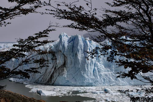 Immagine gratuita di Argentina, freddo, ghiacciaio