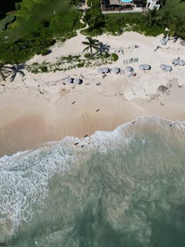A stunning aerial view showcasing the sandy beaches and palm trees of Playa del Carmen, Mexico.