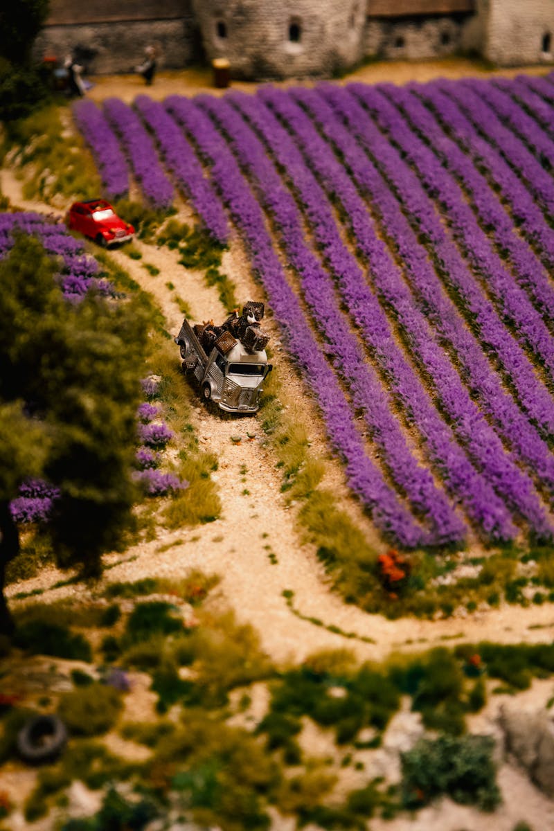 Scale Model Truck Photos, Download The BEST Free Scale Model Truck