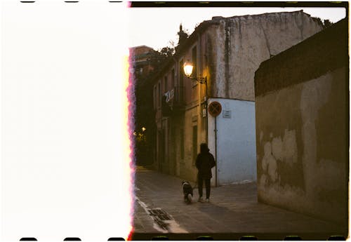A person walking down a street with a dog