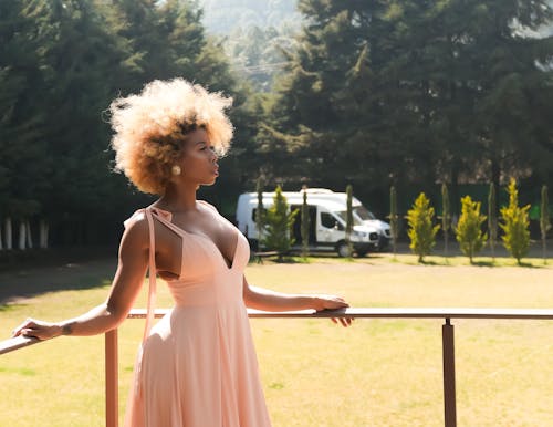 Photos gratuites de arbres, beau, cheveux afro