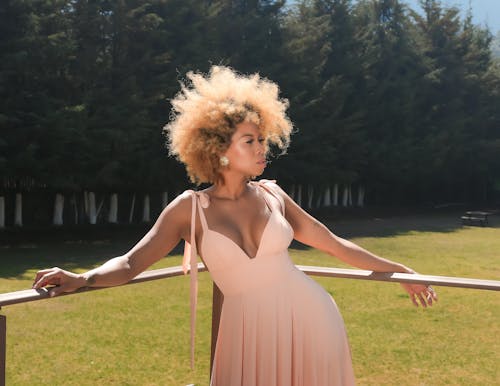 Photos gratuites de arbres, beau, cheveux afro