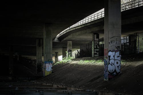 Graffiti on the Pillars under a Bridge 