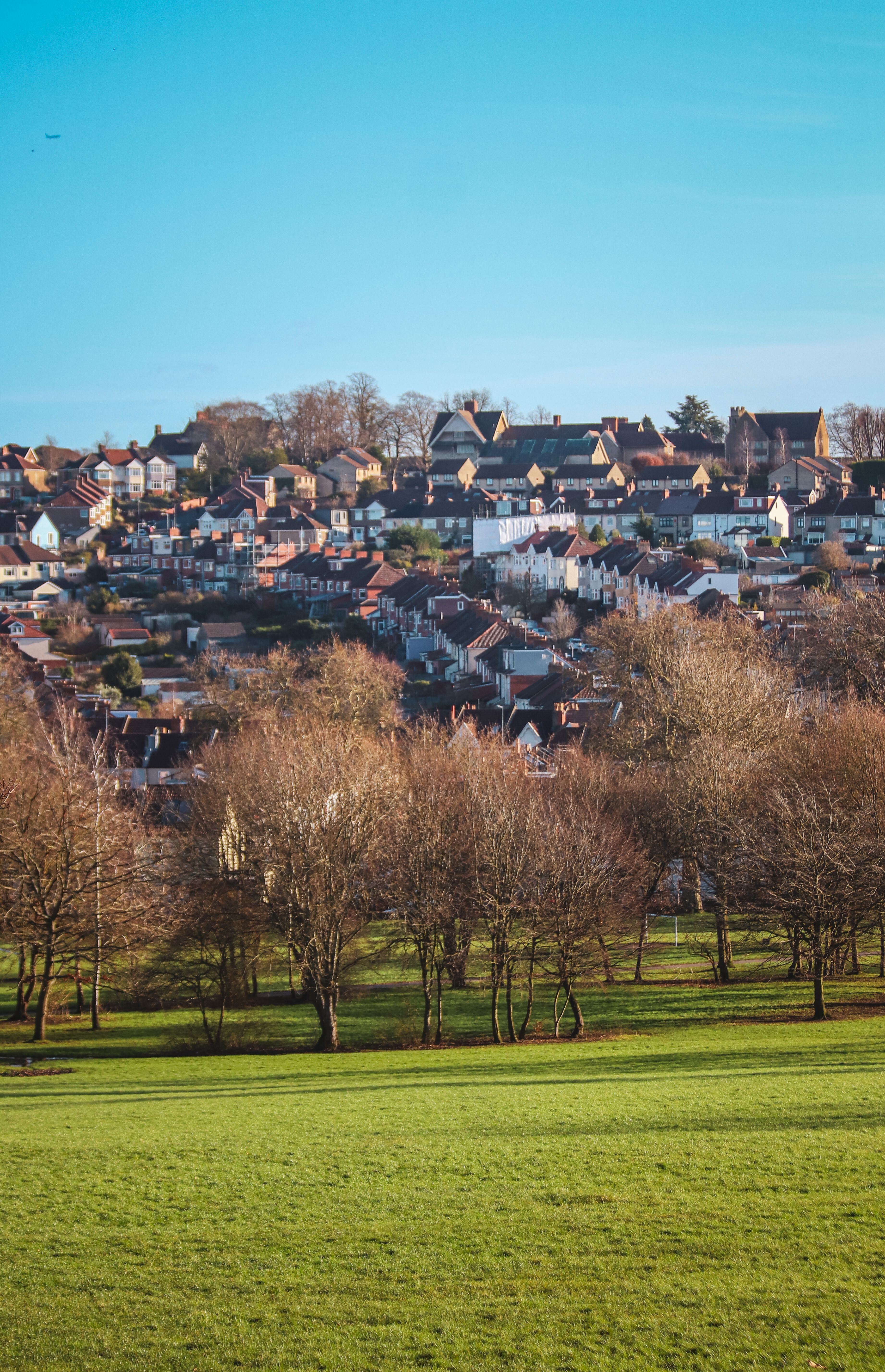 Scenic Park and Residential Buildings in the Distance · Free Stock Photo