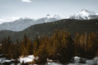 冬季雪山与常绿树木构成的景色十分壮丽