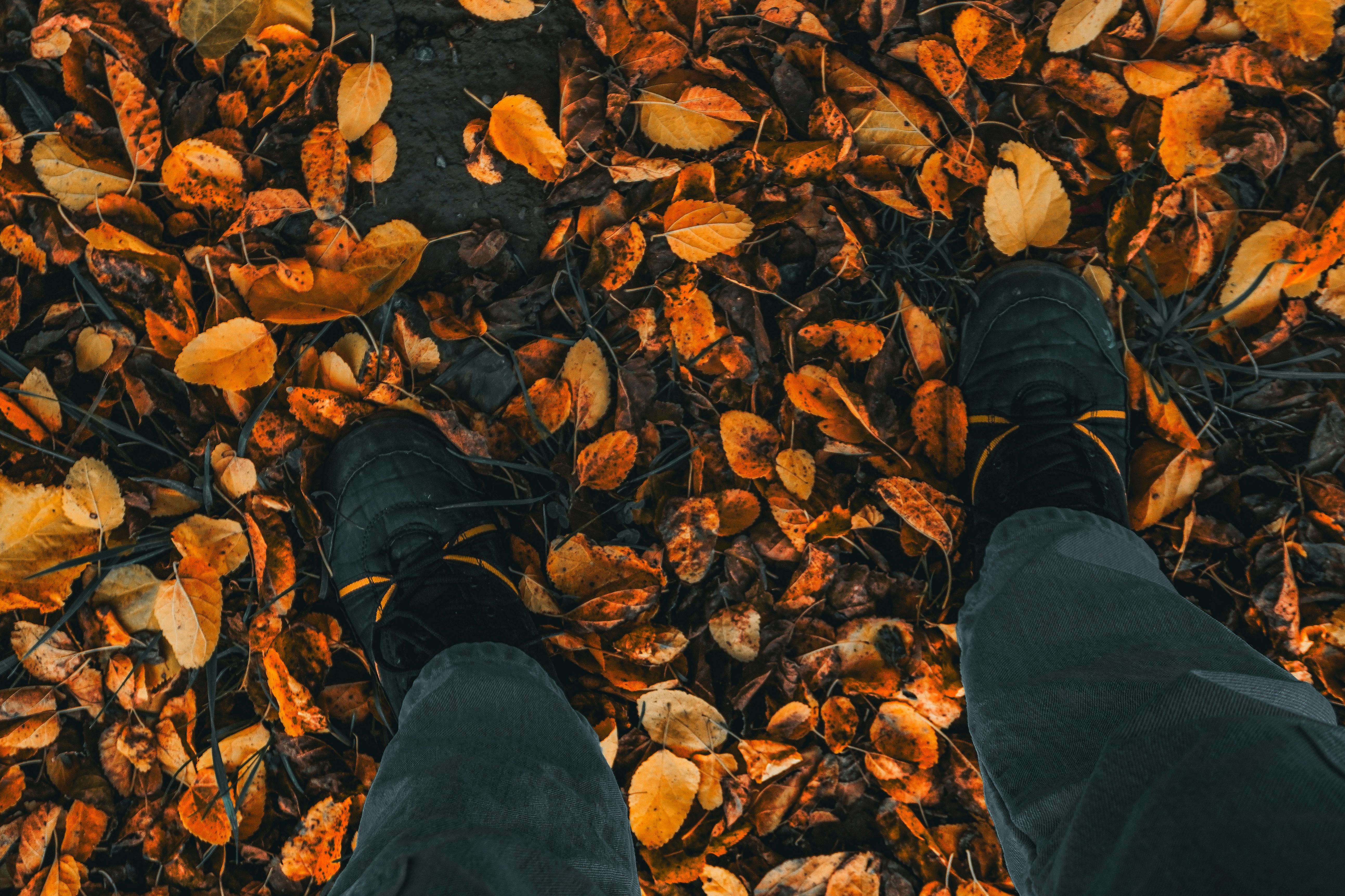 Sharp fall in employee engagement over past two years — Photo by Sam Clickx on Pexels