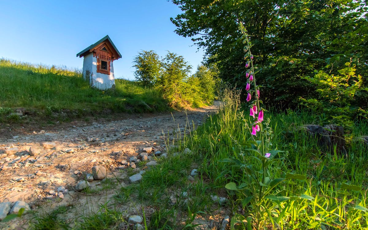 arka fon, arka plan, dağ içeren Ücretsiz stok fotoğraf