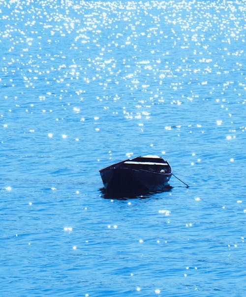 Základová fotografie zdarma na téma člun, lesknoucí se, moře