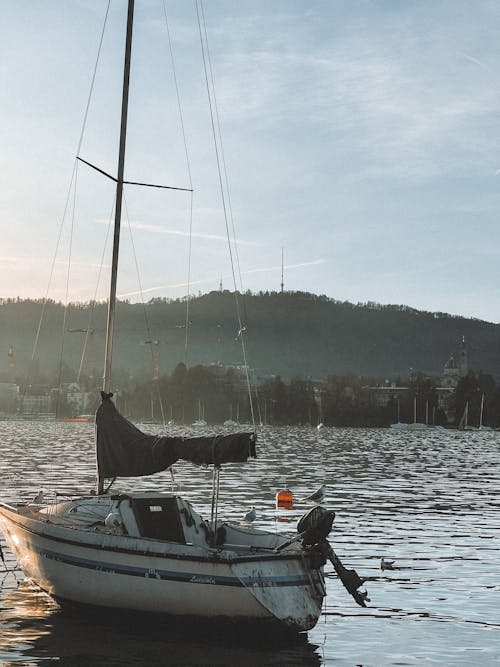 Foto profissional grátis de barco a vela, embarcação, lago