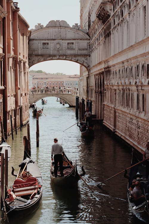 Immagine gratuita di barche, canale, città