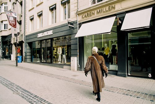 무료 건물 근처 보도에 걷는 갈색 모피 코트에 여자 스톡 사진